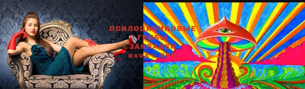 бутират Баксан