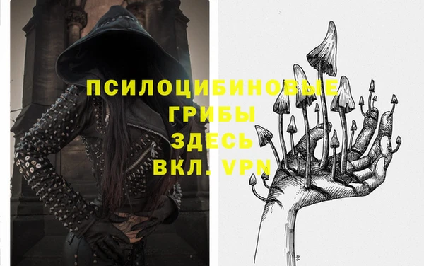mdpv Балабаново