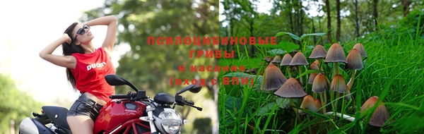 бутират Баксан